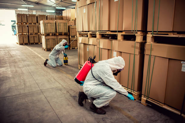 Best Wasp Removal Services  in Mcminnville, OR