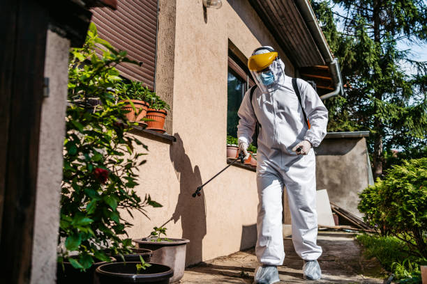 Best Termite Control Services  in Mcminnville, OR