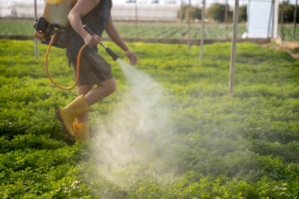 Best Pest Control Near Me  in Mcminnville, OR