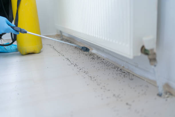 Best Pest Removal Services  in Mcminnville, OR