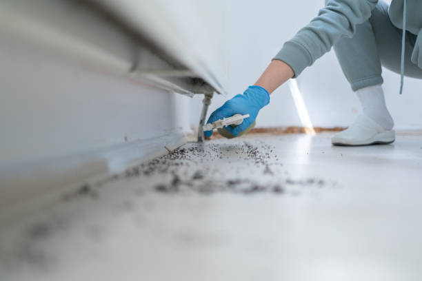 Best Rodent Control Near Me  in Mcminnville, OR