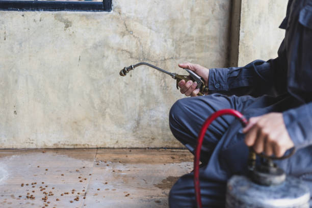Best Best Pest Control Companies  in Mcminnville, OR